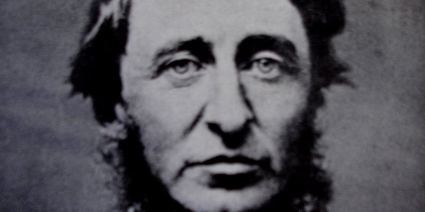 Business Consulting Agency | Henry David Thoreau Quote