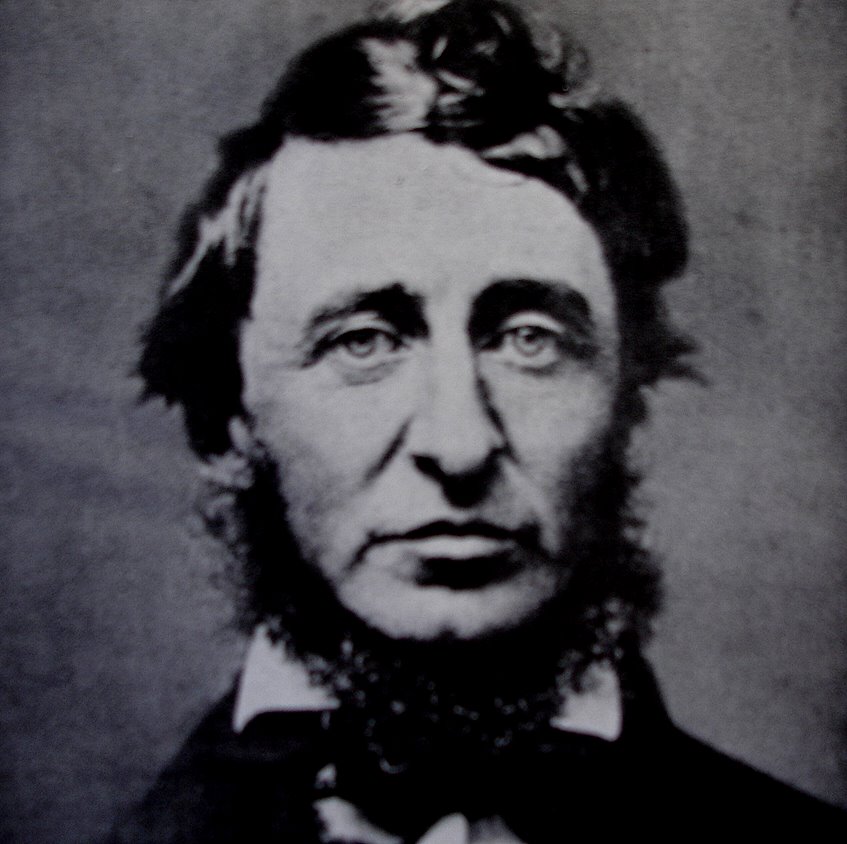 Business Consulting Agency | thoreau-quote