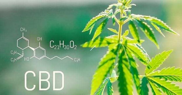 cbd-product-sales
