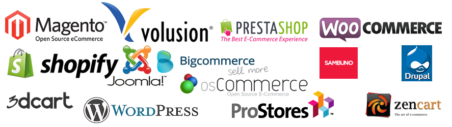 professional-ecommerce-websites