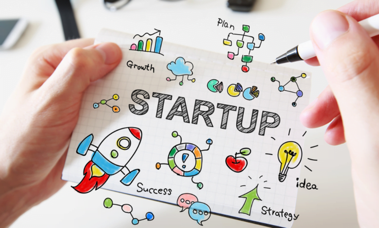 Launching Startup Ventures: Role of Business Consultants