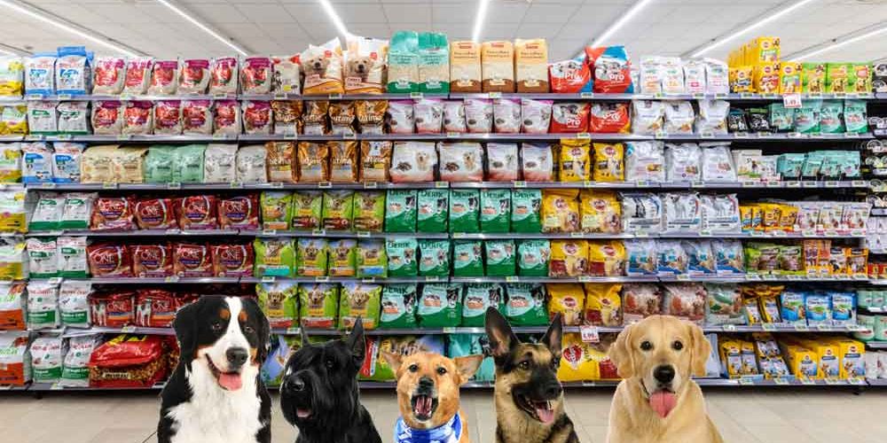 How to Start a Pet Products Business Business Consulting Agency | How to Start a Pet Products Business