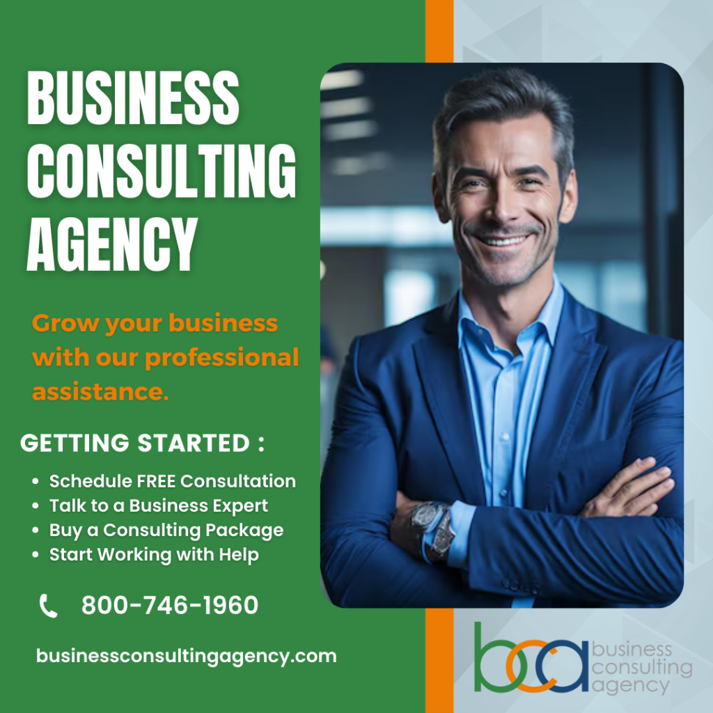 BCA Business Consulting Agency