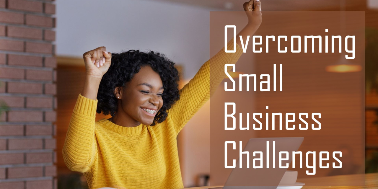 Business Consulting Agency | Small Business Most Common Challenges and Solutions