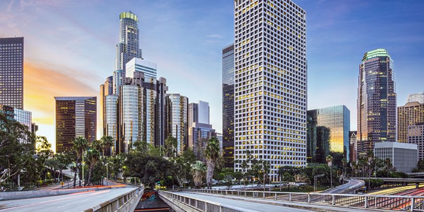 Business Help with Los Angeles Business Consultants