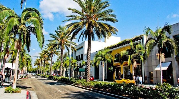 Beverly Hills Startup Consultants