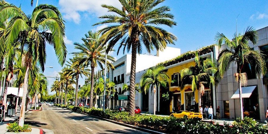 Beverly Hills Startup Consultants