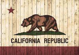 How California Business Consultants Help Clients Succeed from the Start