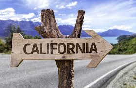 How California Business Consultants Help Clients Succeed from the Start