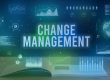 Change Management Consulting Frameworks That Improve Team Performance
