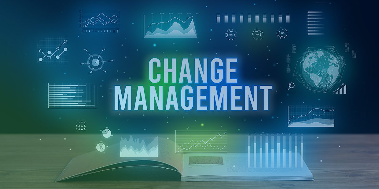 Change Management Consulting Frameworks That Improve Team Performance