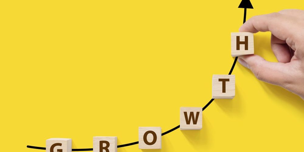 Small Business Consulting Strategies That Strengthen Growth