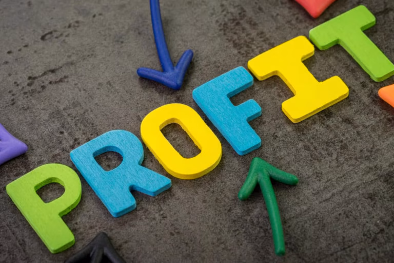 How to Build a Profitable Company